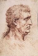 LEONARDO da Vinci Profile of a man oil painting artist
